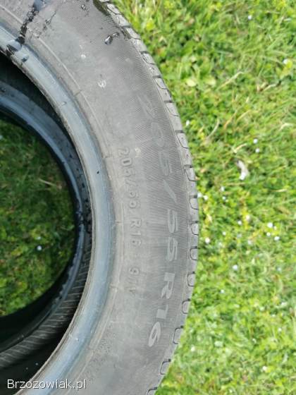 Pirelli cinturauto 205/55 R16 91V.