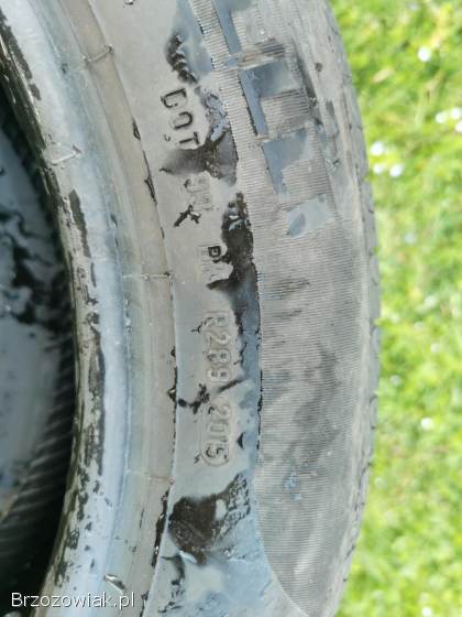 Pirelli cinturauto 205/55 R16 91V.