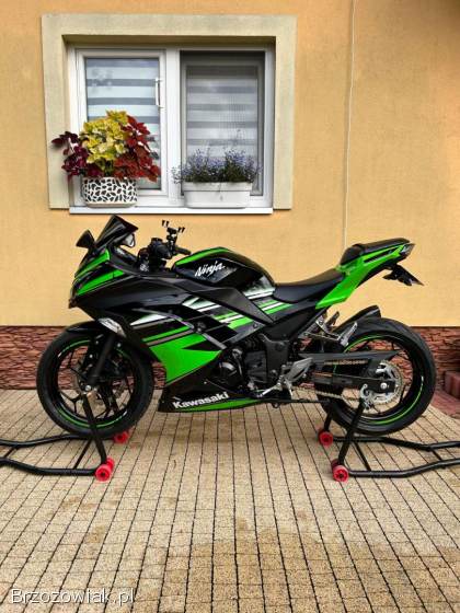 Kawasaki Ninja 300 ABS 2015