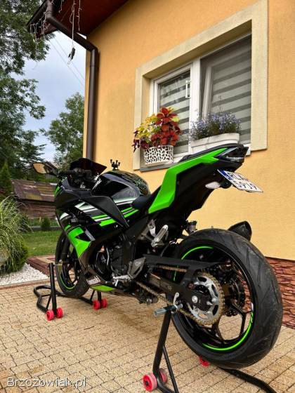 Kawasaki Ninja 300 ABS 2015
