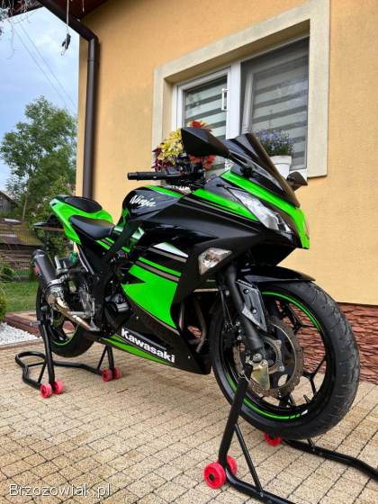 Kawasaki Ninja 300 ABS 2015
