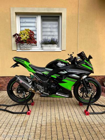 Kawasaki Ninja 300 ABS 2015