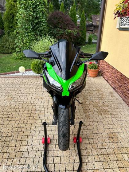 Kawasaki Ninja 300 ABS 2015