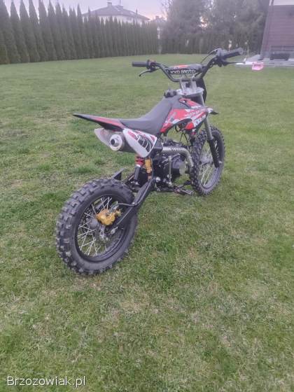 KXD Pro  125 2021