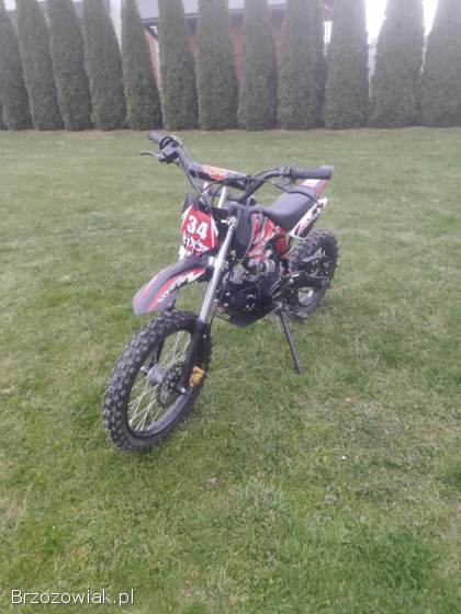 KXD Pro  125 2021
