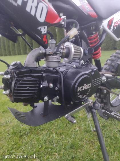 KXD Pro  125 2021