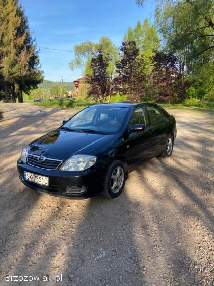 Toyota Corolla Terra 2005