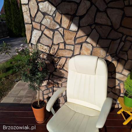 Fotel obrotowy do biurka.