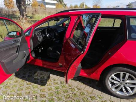 Volkswagen Golf Variant  2017