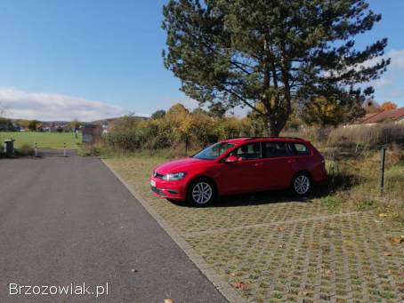Volkswagen Golf Variant  2017