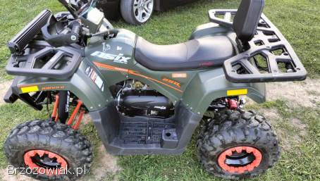Quad 250 Ranger