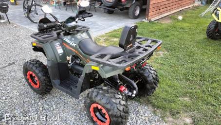 Quad 250 Ranger