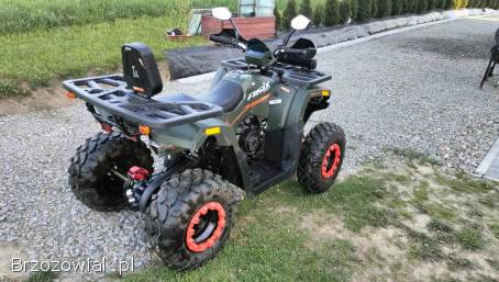Quad 250 Ranger