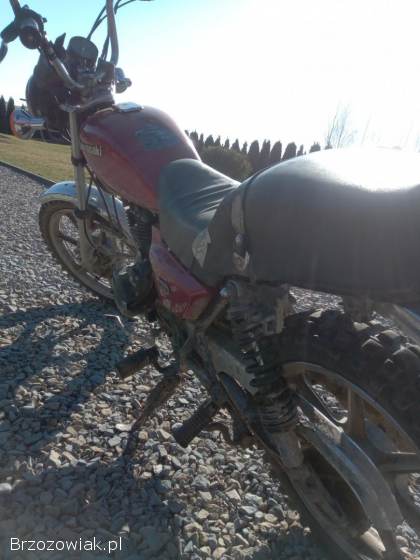 Kawasaki Z 2010