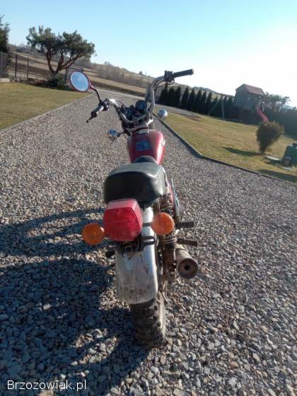 Kawasaki Z 2010