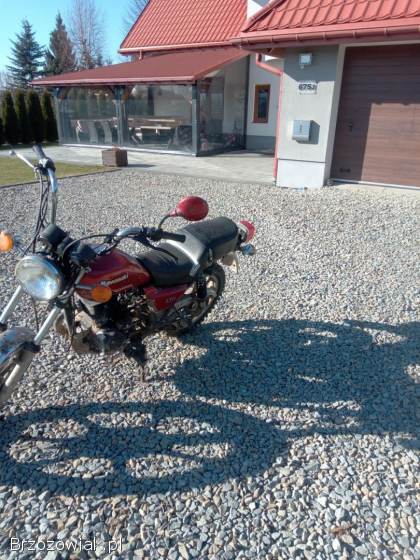 Kawasaki Z 2010