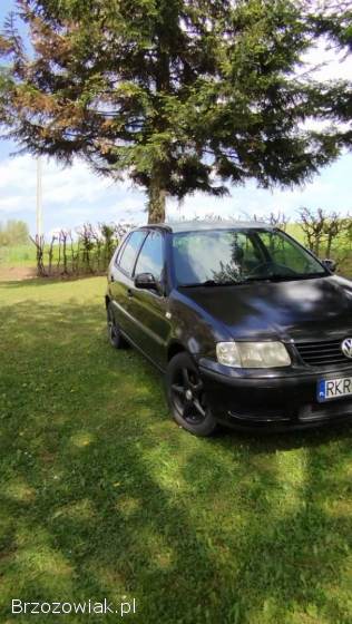 Volkswagen Polo 6n2 2001