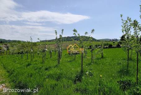 Twoje miejsce w Bieszczadach -  Domek rekreacyjny z panoramicznym widokiem!
