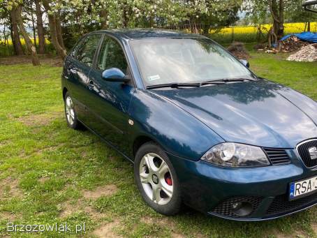 Seat Ibiza III 6L 2007