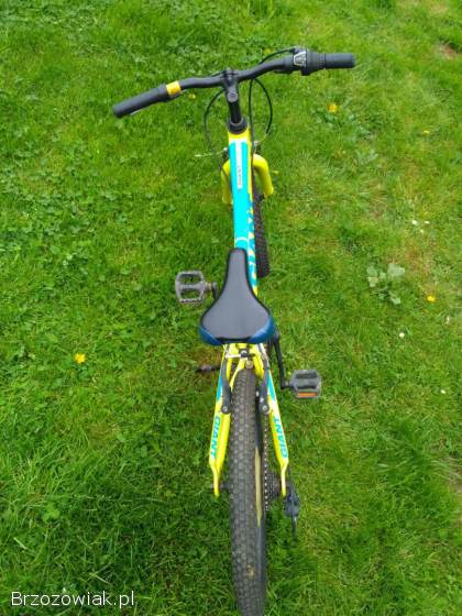 Rower Giant XTC JR 20