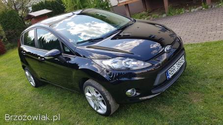 Ford Fiesta Mk7  2011