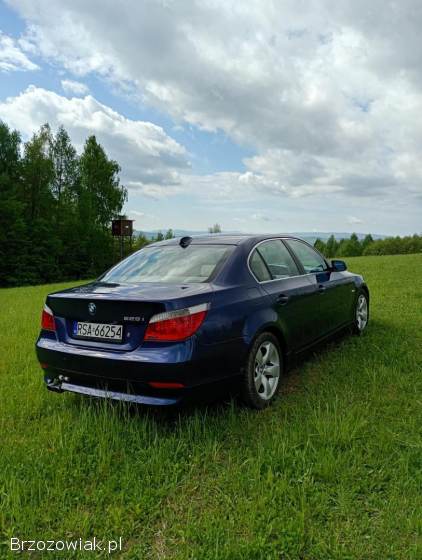 BMW Seria 5 525i 2004