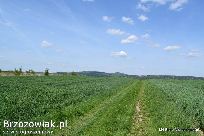 3 PIEKNE WIDOKOWE DZIAŁKI ROLNE W KROŚNIE