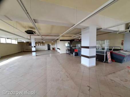 Do wynajęcia lokal handlowy 330 mkw.  na parterze w Jasienicy Rosielnej