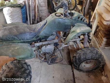Quad chińczyk 250