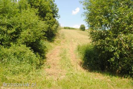 Duża inwestycja 82 ar.  w Bereżnicy Wyżnej gm.  Solina