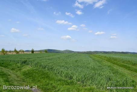 3 PIEKNE WIDOKOWE DZIAŁKI ROLNE W KROŚNIE