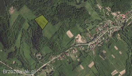 Działka rolna z potencjałem,  5 km.  od brzegu Jeziora Solińskiego