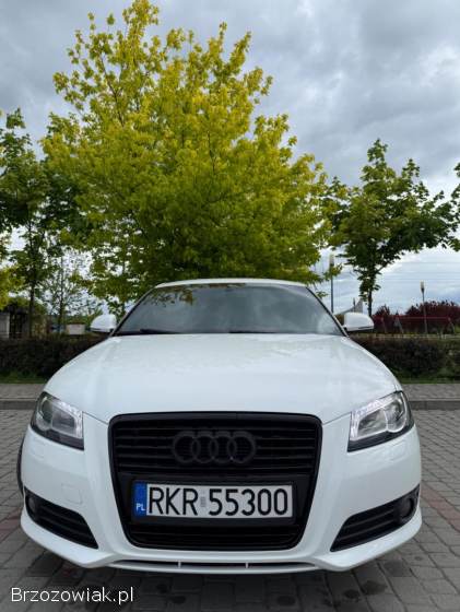 Audi A3 8P 2009