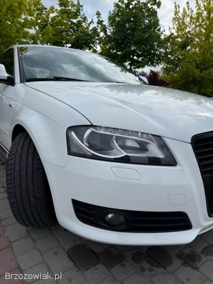 Audi A3 8P 2009