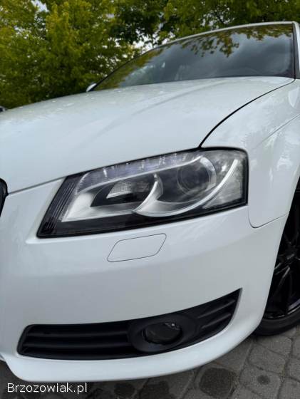 Audi A3 8P 2009