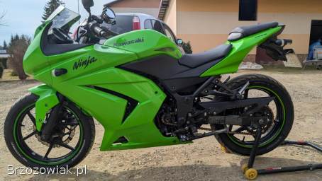 Kawasaki Ninja 250R 2009