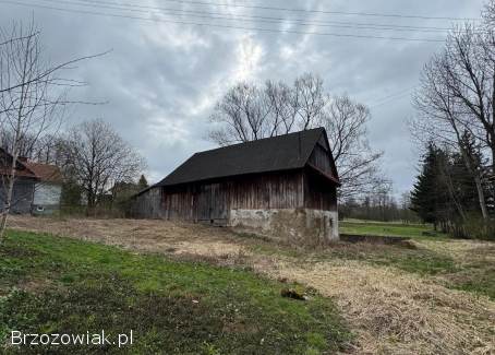 Stylowy Dom Z Zabudową Gospodarczą Na Uzbrojonej Działce 14 Arów w Bliznem