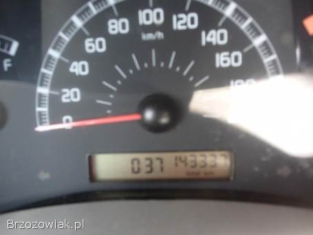 Sprzeda FIAT PANDA 2