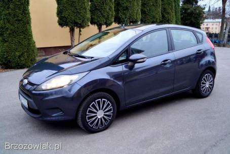 Ford Fiesta 2009