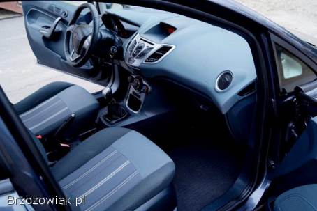 Ford Fiesta 2009