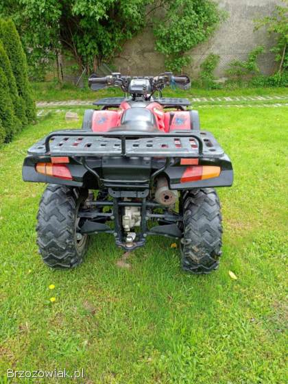 Quad BUYANG300