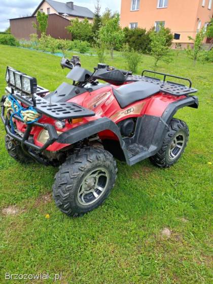 Quad BUYANG300