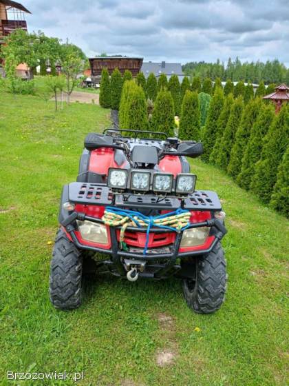 Quad BUYANG300