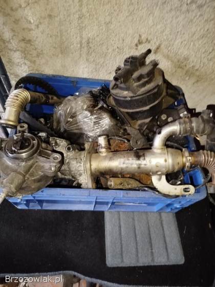 Silnik 2.  0 TDCI Ford