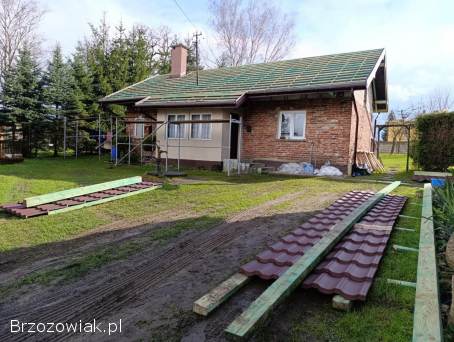 Usługi dekarskie -  ciesielkskie / Dachy