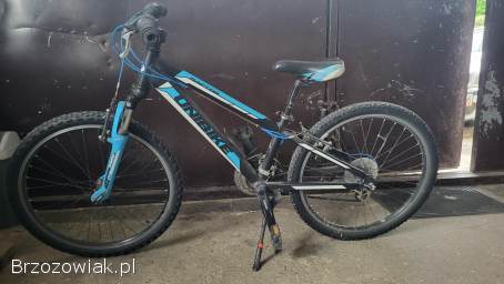 Rower Unibike Raptor 24