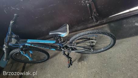 Rower Unibike Raptor 24