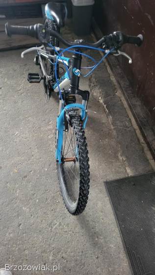 Rower Unibike Raptor 24