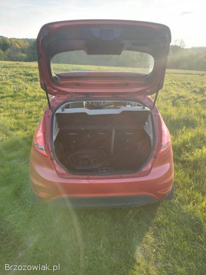Ford Fiesta 2009