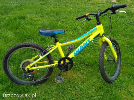 Rower Giant XTC JR 20